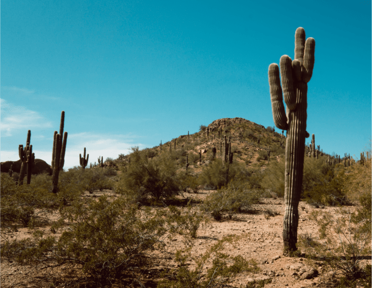 AZ Attorney General Files Suits Regarding Alleged Fraud Against Homeowners